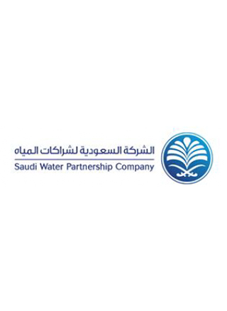 Board Member